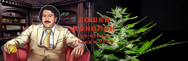 крисы Аркадак